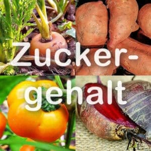 Zuckergehalt in Gemüse
