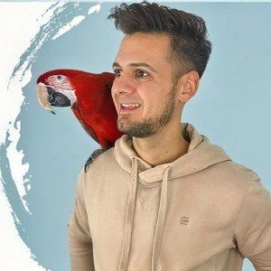 Pacolito