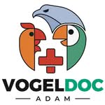 Vorstellung: Online-Tierarzt für Vögel