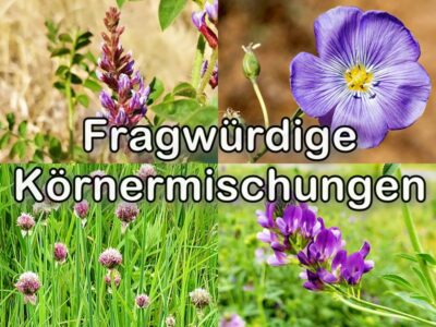 Fragw&uuml;rdige K&ouml;rnermischungen