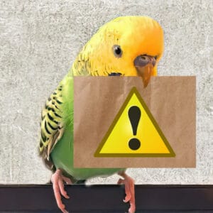 Warnung vor Webseite "wellensittichhaltung.info"